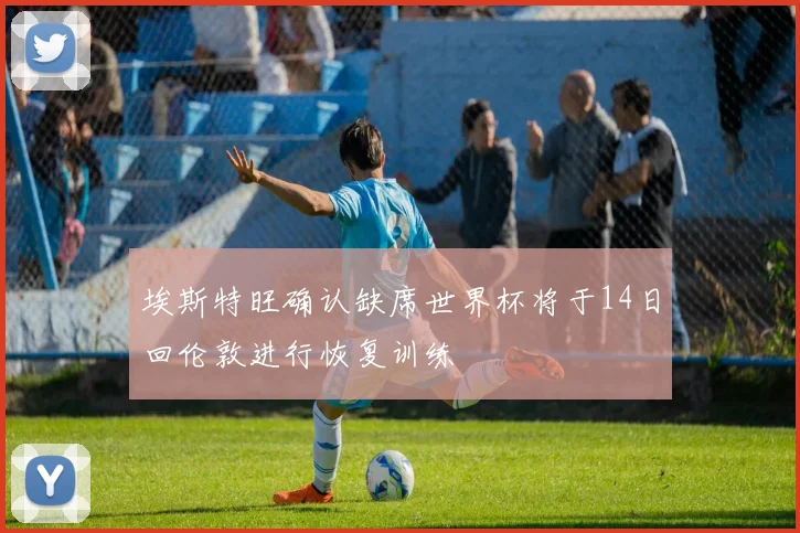 埃斯特旺确认缺席世界杯将于14日回伦敦进行恢复训练