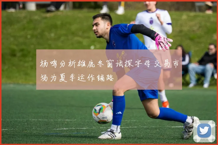 杨鸣分析雄鹿冬窗试探字母交易市场为夏季运作铺路